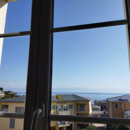 Beau T2 Au Calme A Deux Pas Du Port D'Erbalunga Leilighet Erbalunga  Eksteriør bilde